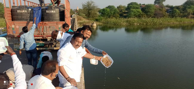 దేగామ చెరువులో రొయ్యపిల్లల విడుదల