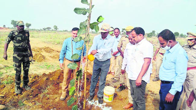 అటవీ విస్తీర్ణం పెంచాలి