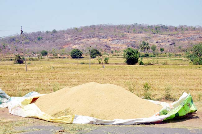 ఆందోళనలో అన్నదాత