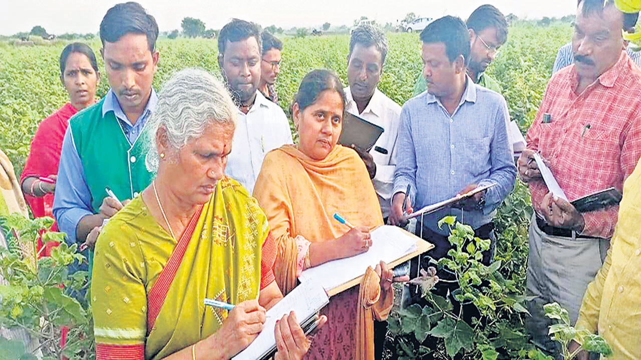 Cotton farmers : నకిలీ విత్తు.. పత్తి రైతు చిత్తు!