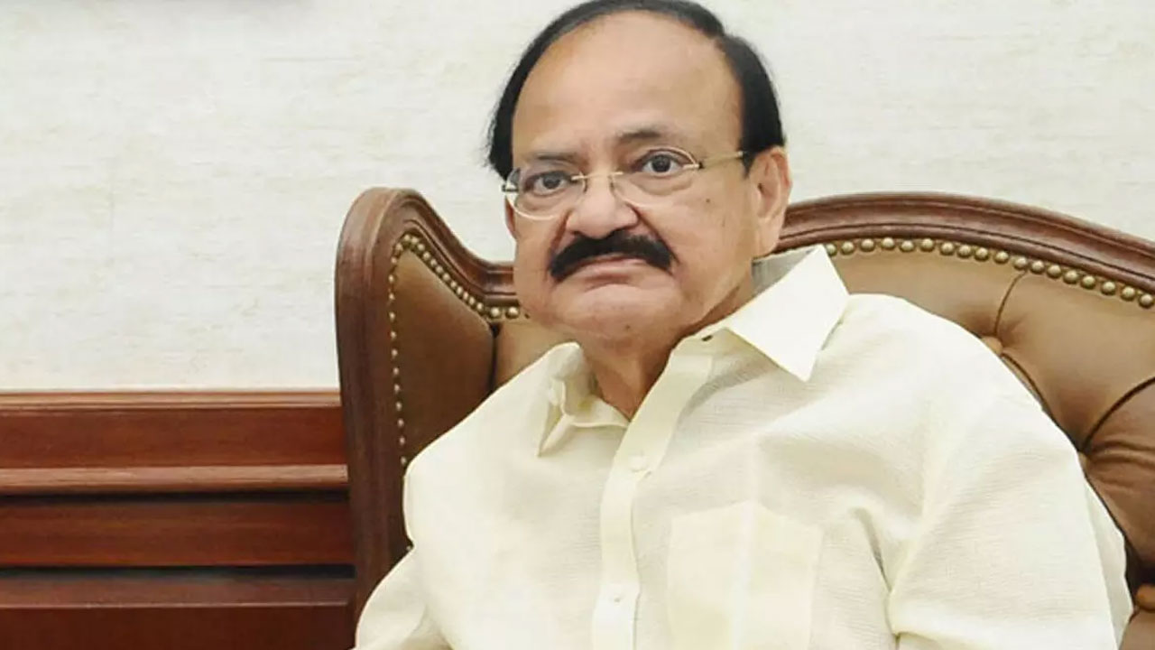 Venkaiah Naidu: సమరయోధులు ఎందరున్నా పటేల్‌కు ఉన్న గుర్తింపే వేరు ...