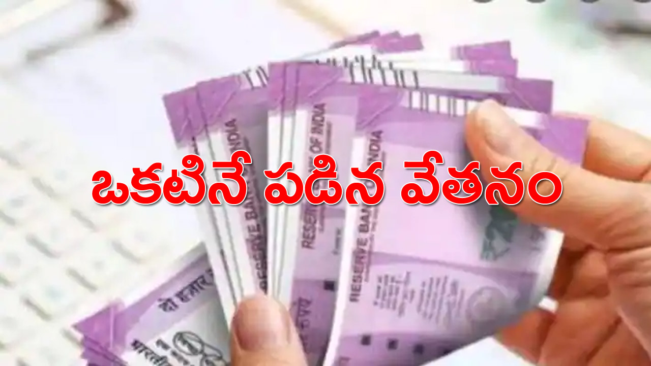 salary paid: ఒకటినే పడిన వేతనం