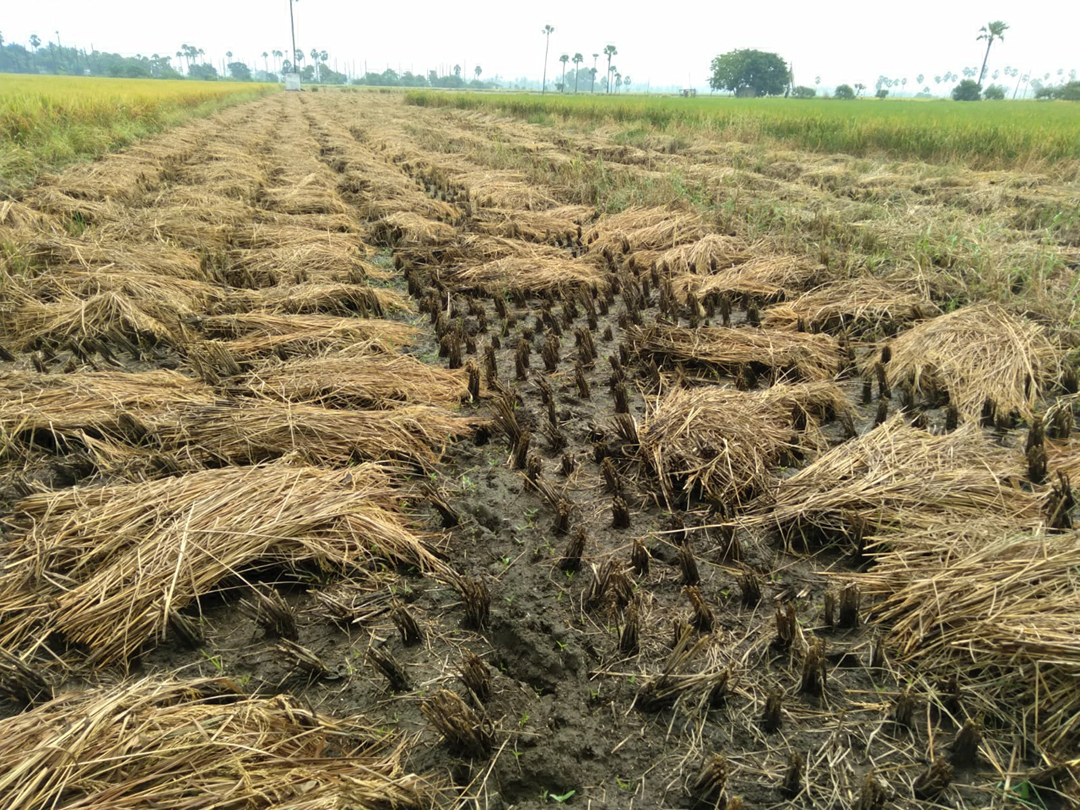 వాయు‘గండం’