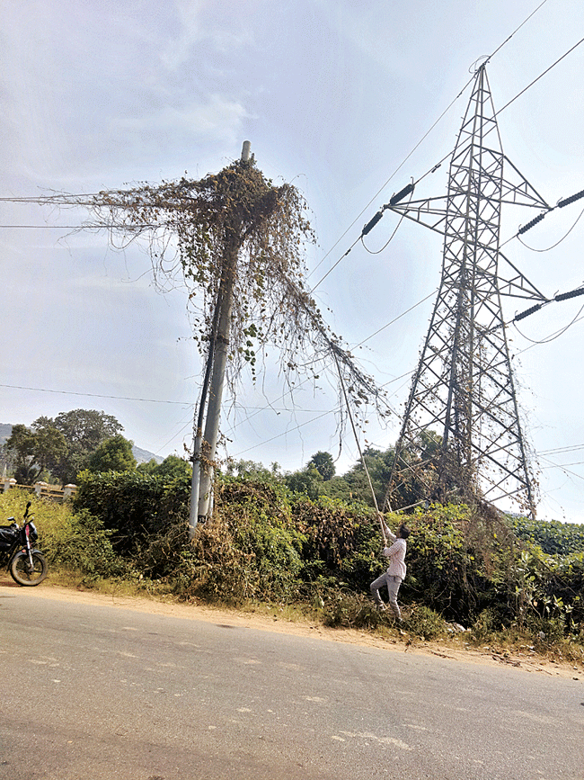 నిర్లక్ష్యాన్ని వీడారు!