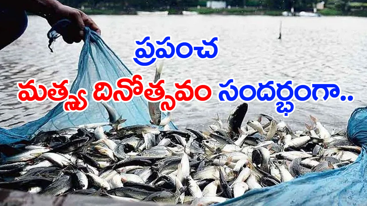 World Fisheries Day: భారత్‌ ప్రస్తుతం చేపల ఉత్పత్తిలో ఎన్నో స్థానంలో ఉందంటే...