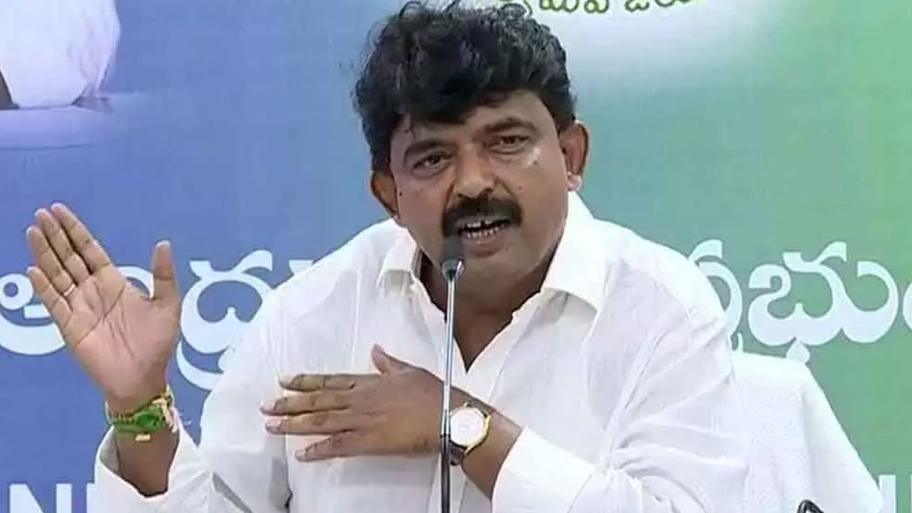 Perninani: బందరు పోర్టుపై టీడీపీ విమర్శలు సరికాదు