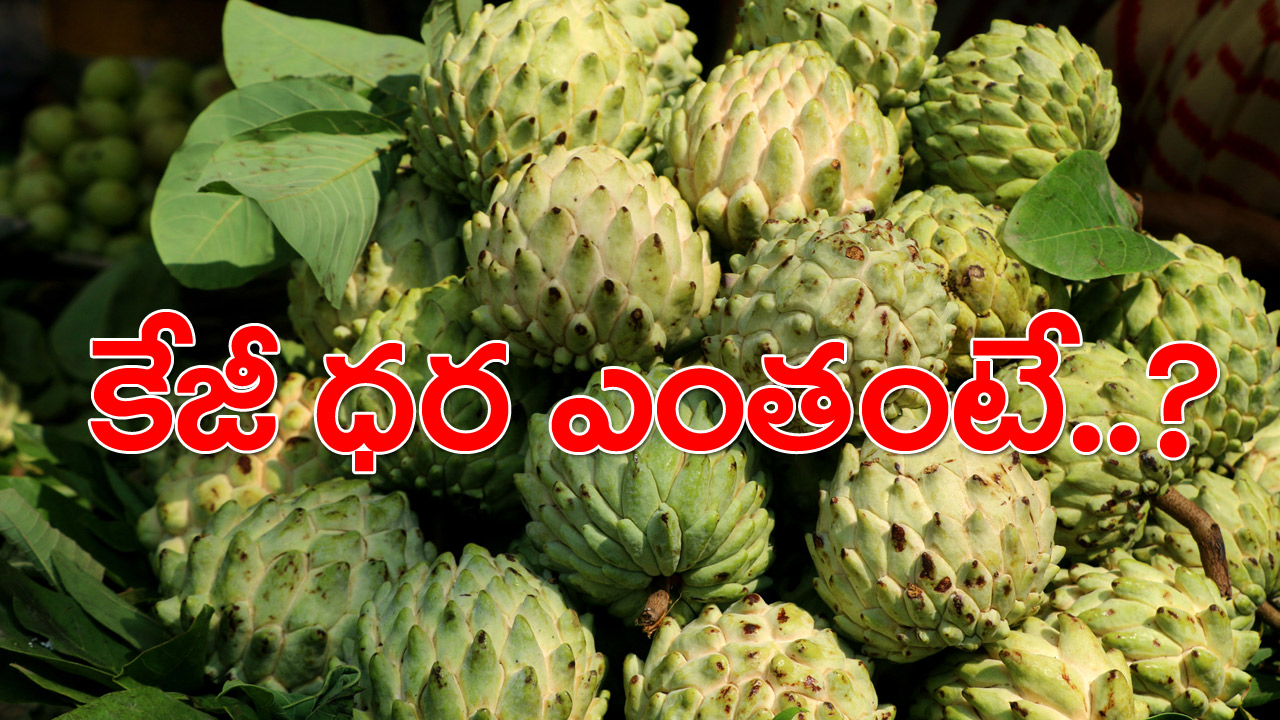 custard apple: నోరూరిస్తున్న సీతాఫలాలు..కేజీ ధర ఎంతంటే..?