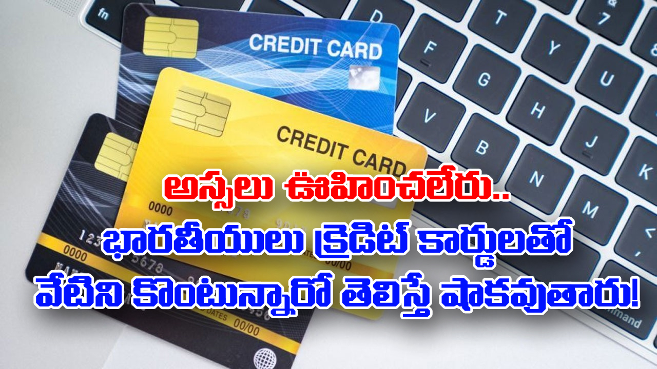 Credit Cards: అస్సలు ఊహించలేరు.. భారతీయులు క్రెడిట్ కార్డులతో వేటిని కొంటున్నారో తెలిస్తే షాకవుతారు! 