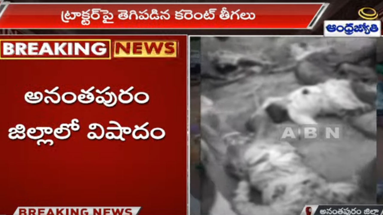 AP News: ట్రాక్టర్‌పై తెగిపడ్డ విద్యుత్ వైర్లు... ఆరుగురు సజీవదహనం