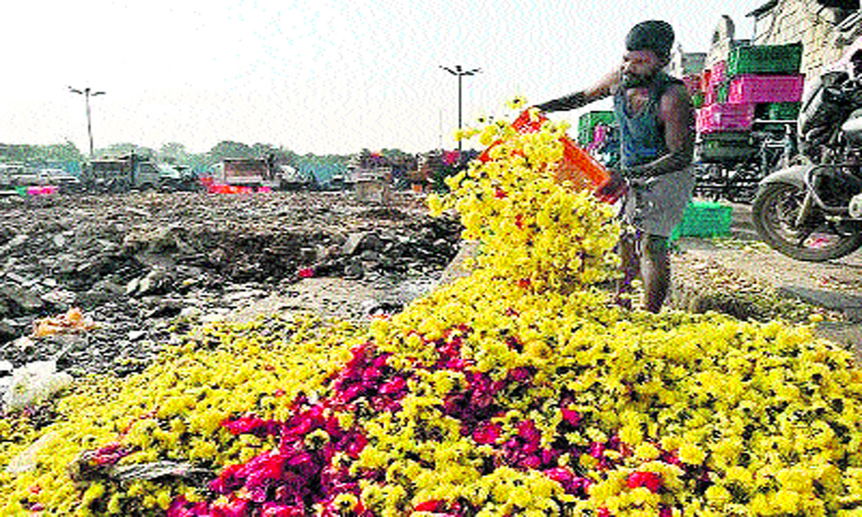 Chamanti: తగ్గిన ధరలు.. చామంతి పూలు రోడ్డుపాలు | Chamanti: Reduced ...