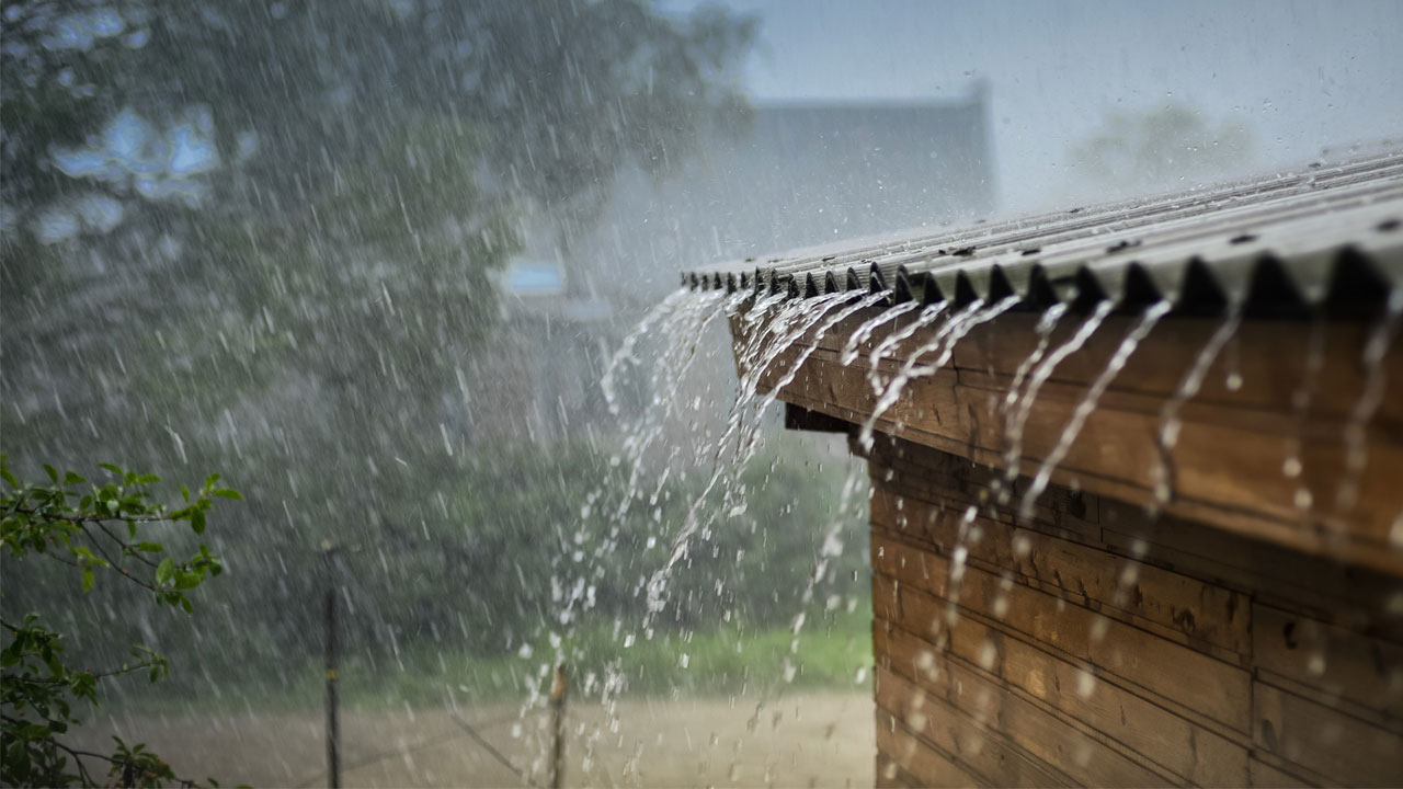 Rain: అల్పపీడనం.. దక్షిణ కోస్తా, రాయలసీమల్లో వర్షాలు