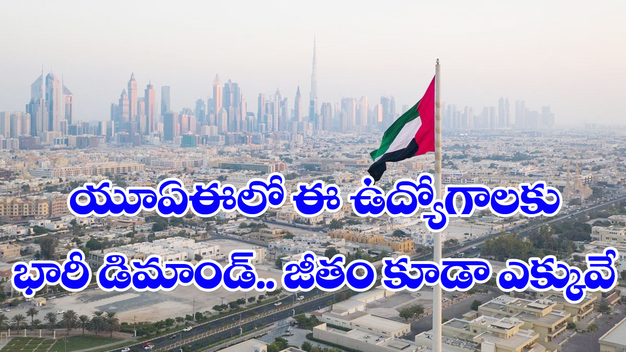 UAE Jobs: యూఏఈలో బాగా డిమాండ్ ఉన్న జాబ్స్ ఇవే.. వాటి శాలరీలు ఇలా.. 