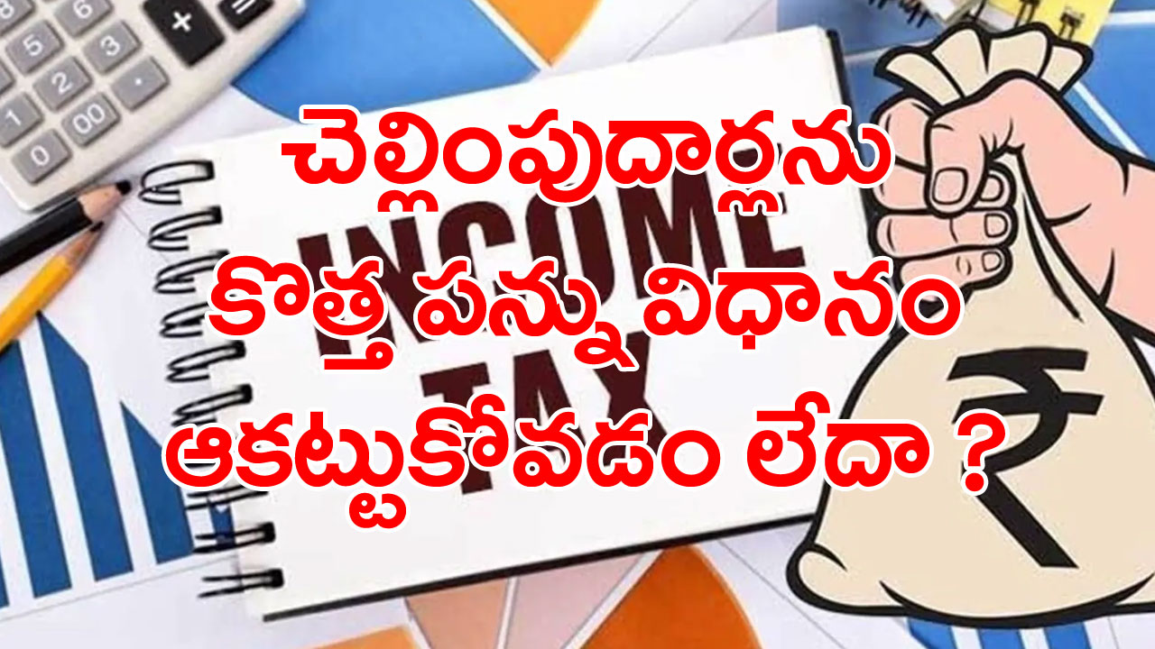 New Tax regime: నూతన పన్ను విధానం ఎందుకు పెద్దగా ఆకట్టుకోలేకపోయింది? కారణాలు ఇవేనా..