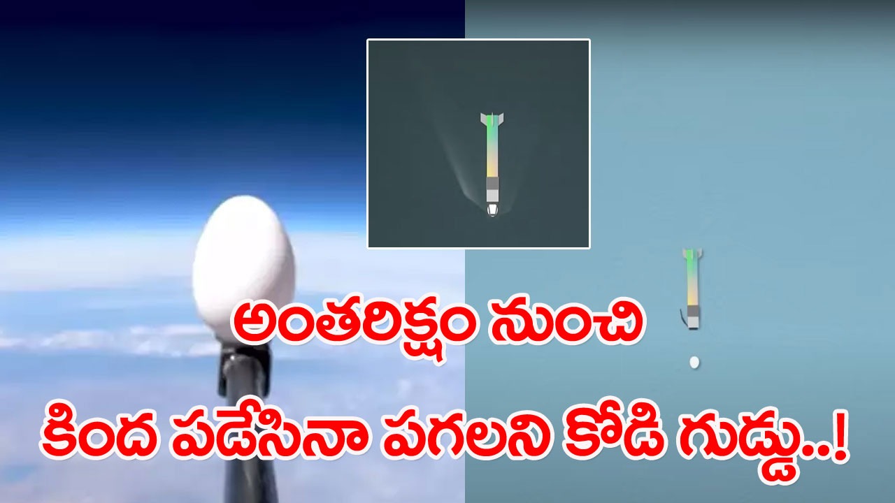 Egg Dropped from Space: గుడ్డును అంతరిక్షం నుంచి కిందకు పడేశారు.. చివరకు ఏం జరిగిందో మీరే చూడండి..!