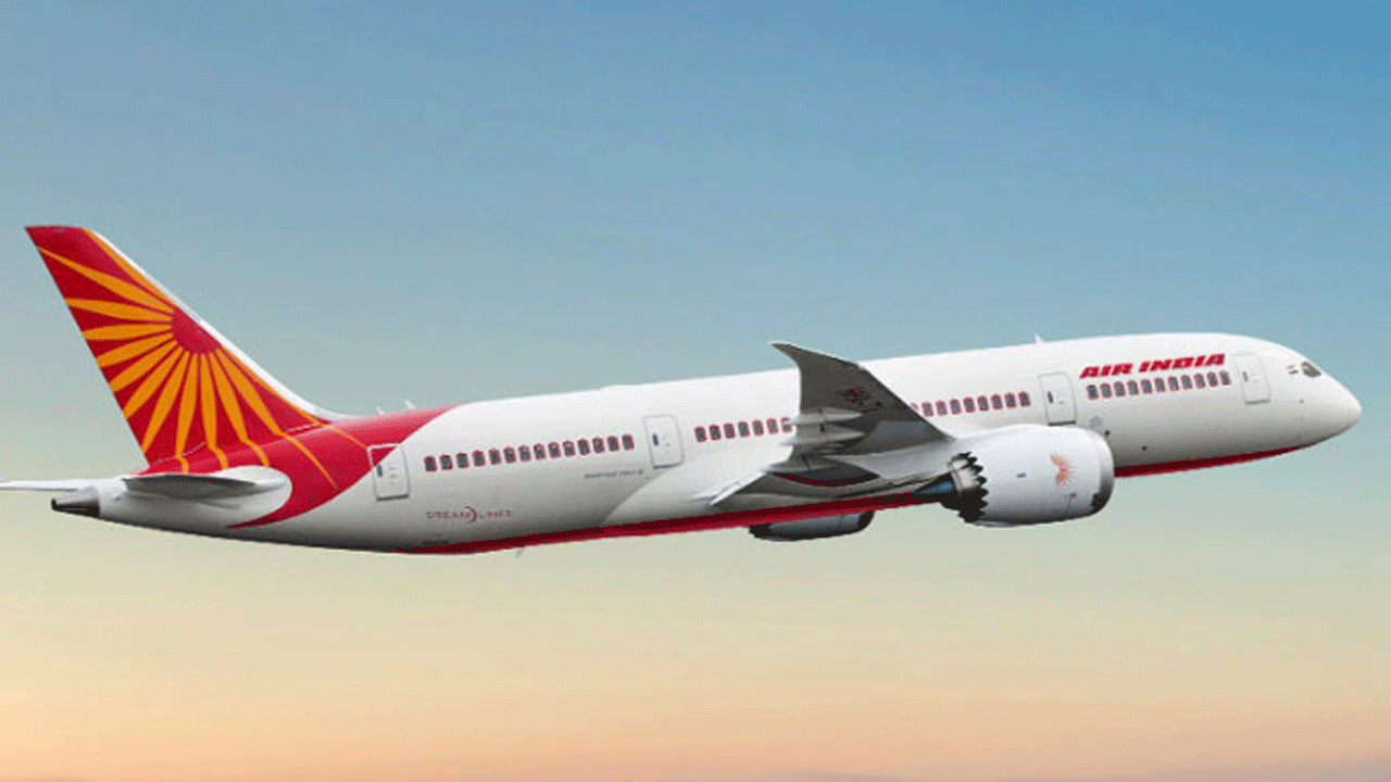 Air India : ఎయిర్‌ ఇండియా విమానంలో పాము!