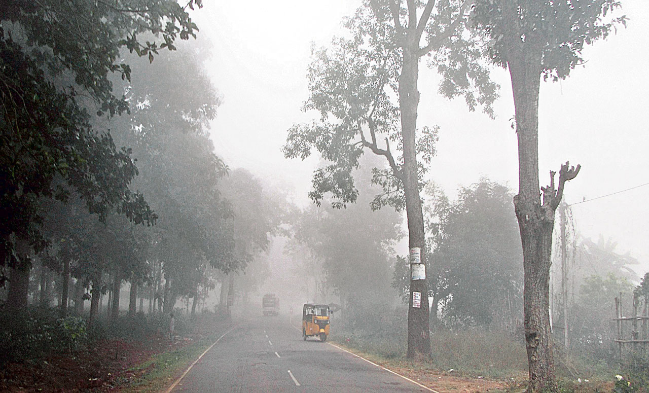 వణికిస్తున్న చలి