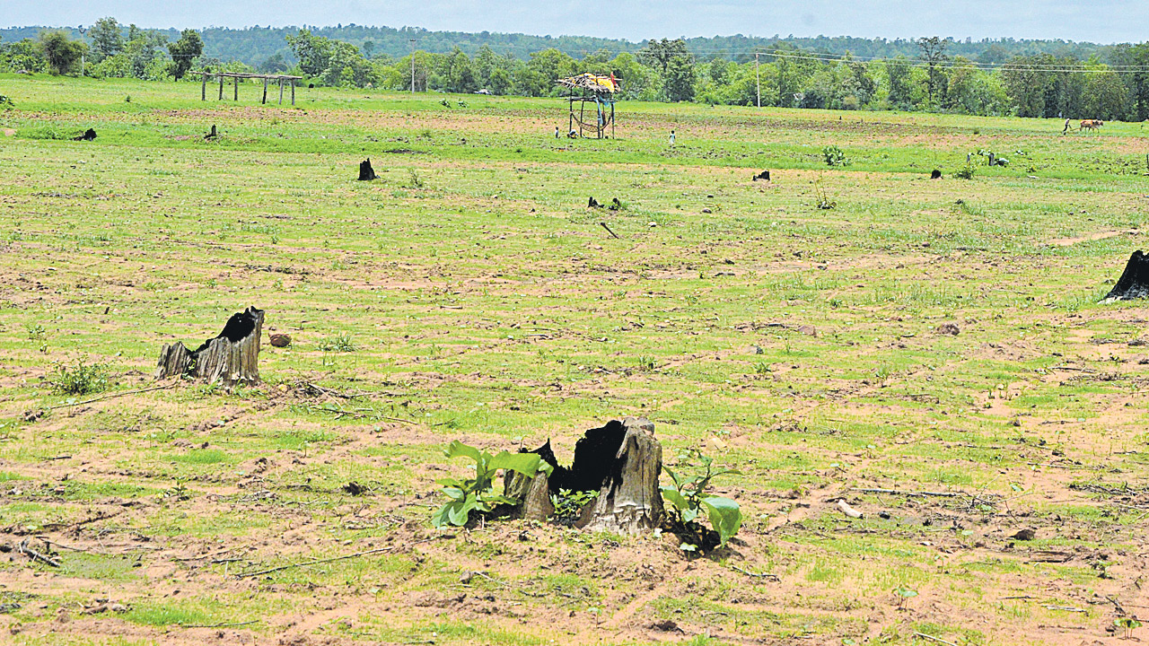 PODU LANDS: పోడు రీ సర్వే!