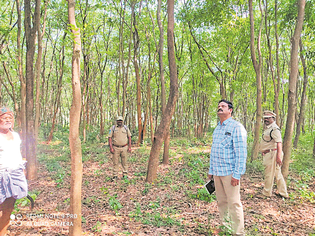 కదిలిన అటవీ శాఖాధికారులు