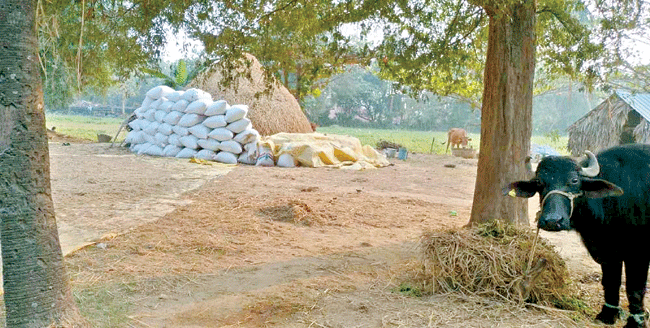 అధికారులు ఇలా.. మిల్లర్లు అలా