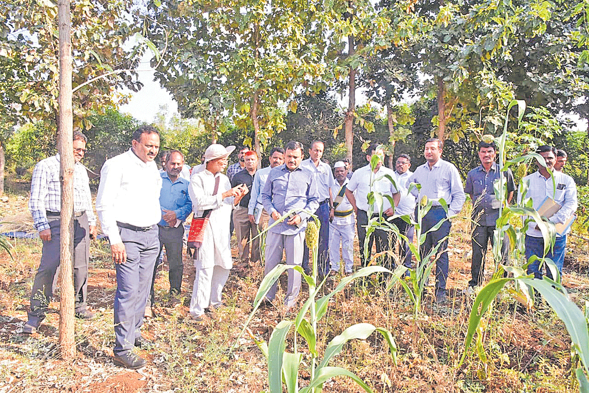 ‘మన ఊరు- మన బడి’ పనులు 5లోగా పూర్తవ్వాలి