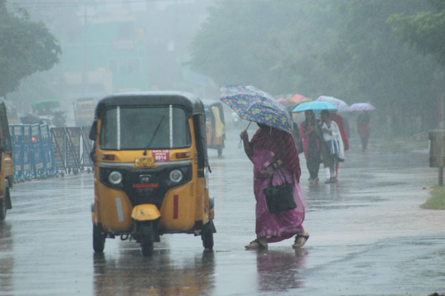 తడిసి ముద్దయిన నెల్లూరు