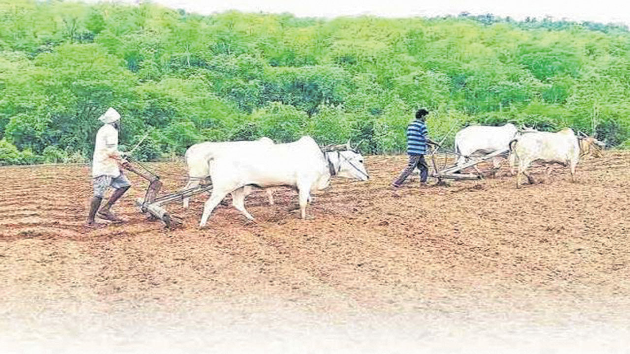 పోడు గోస.. తీరని వెత | Podu Gosa.. Desperate search