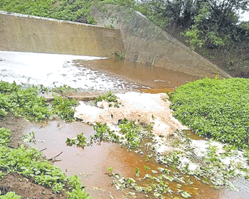 ఉసురు తీస్తున్న కాలుష్యం