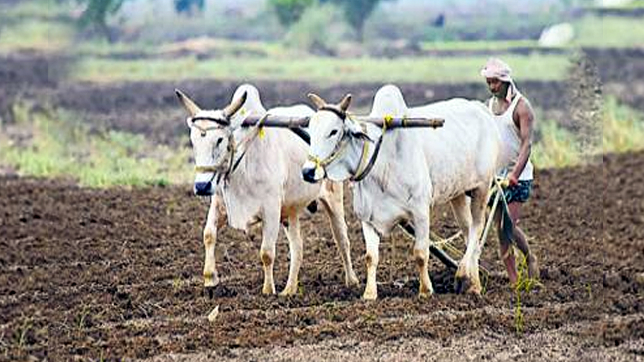 TS News: రైతు కుటుంబంలో విషాదాన్ని నింపిన కామారెడ్డి మాస్టర్ ప్లాన్