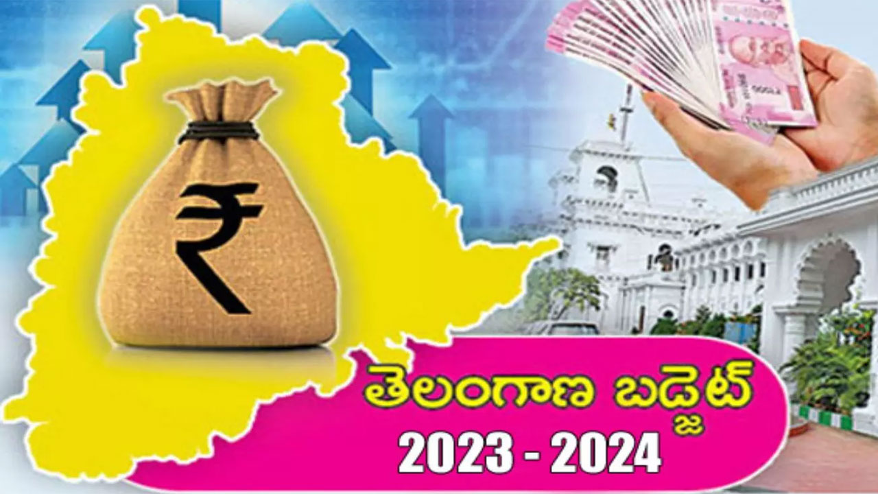 Telangana Budget 2023: బడ్జెట్‌లో ప్రవాసీయుల సంక్షేమానికి సున్నా..
