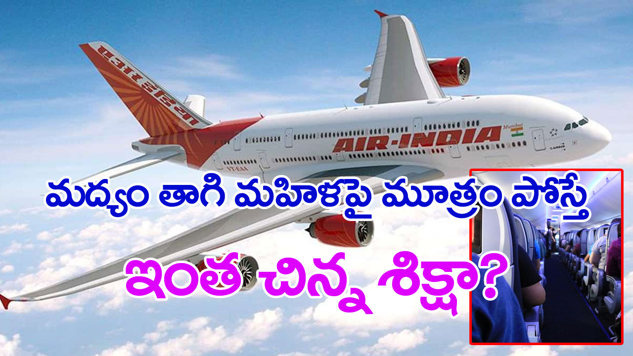 AirIndia Pee-Gate: విమానంలో వికృత చేష్టకు విధించింది అసలు శిక్షేనా? 