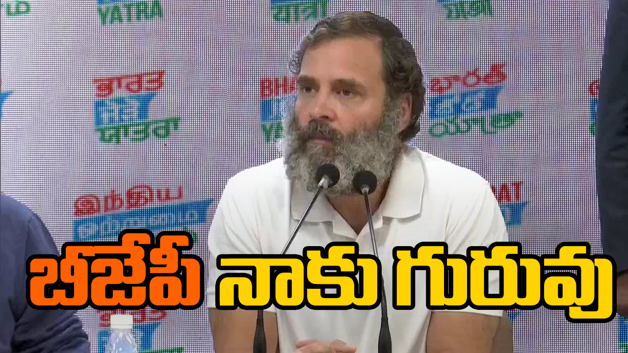 Rahul Gandhi: బీజేపీ నాకు గురువులాంటిది