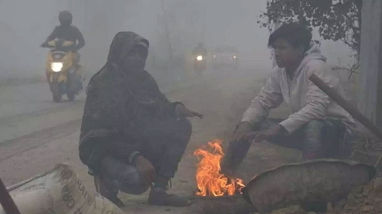 Weather Bulletin: జనవరిలో సాధారణ చలి