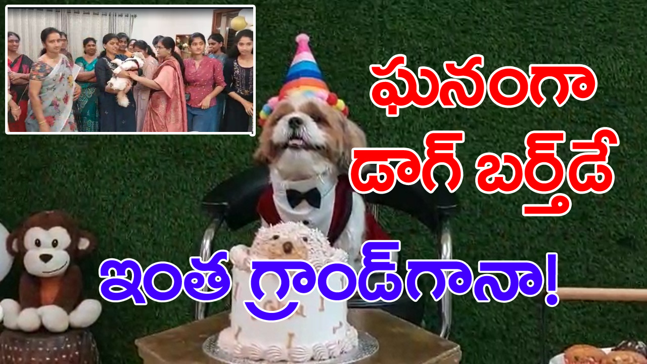 Dog birthday: పెంపుడు శునకానికి ఘనంగా బర్త్‌డే సెలబ్రేషన్స్.. వీడియో చూస్తే వారెవా అనాల్సిందే!