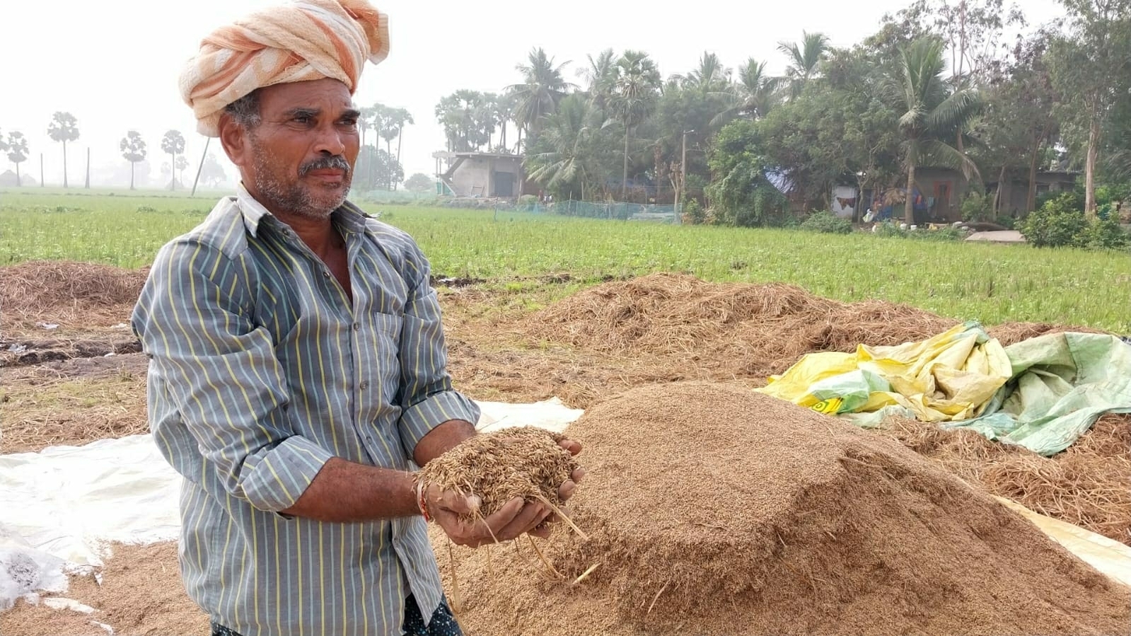 ప్రాధాన్యం ఏది?