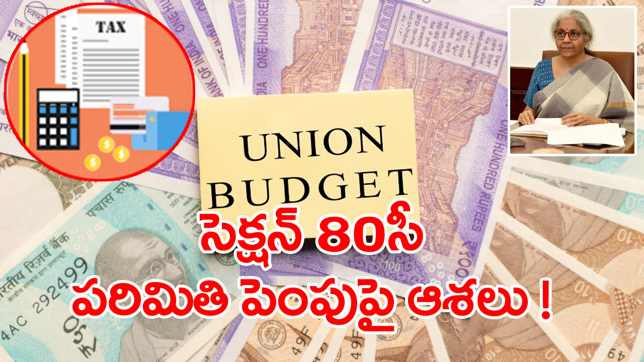 Budget 2023 Section 80C: ఎంతోమంది ఈ కోరిక బడ్జెట్ 2023లో తీరేనా?