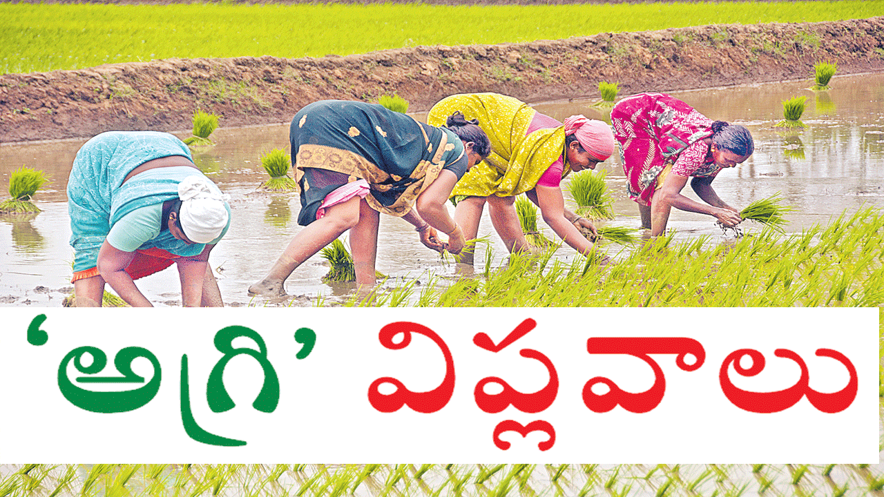 TS jobs Special: పోటీ పరీక్షలు ఏవైనా అగ్రికల్చర్‌పై..