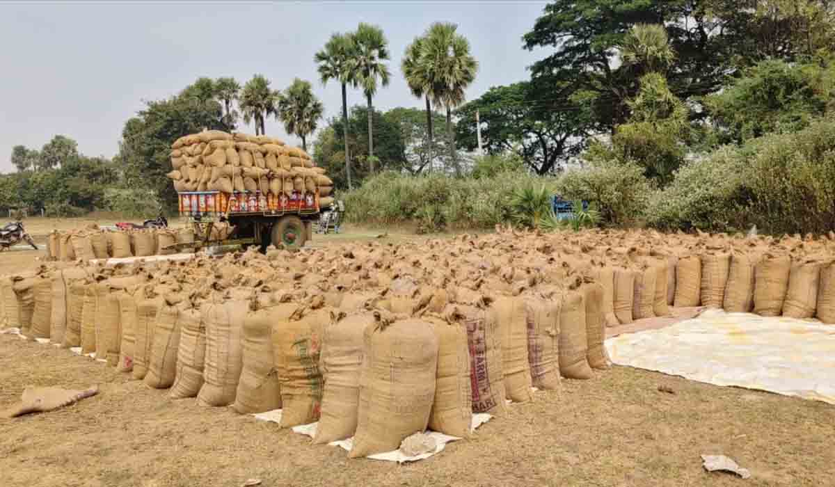 ధాన్యంలో రేషన్‌ బియ్యం