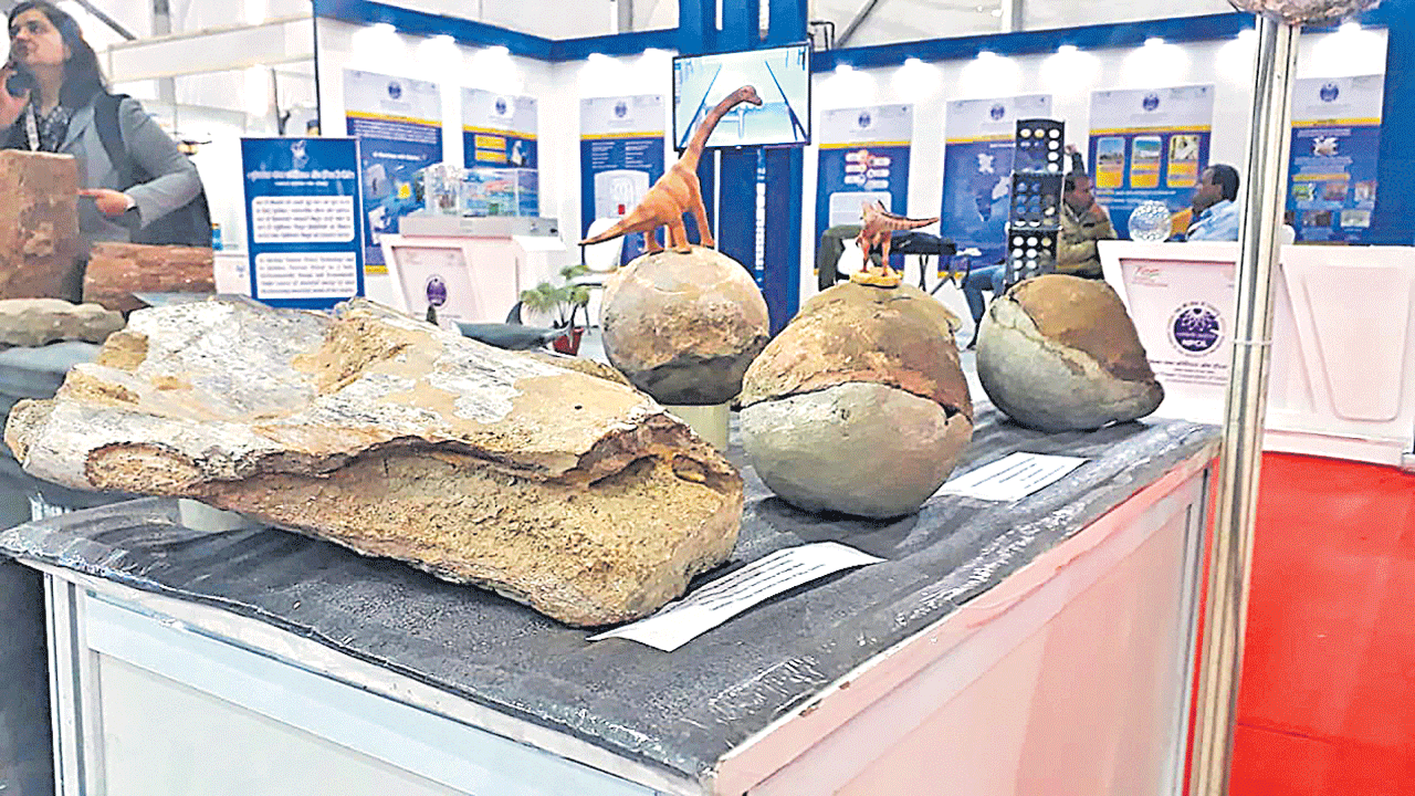 Titanosaur eggs : మధ్యప్రదేశ్‌లో 256 టైటానోసార్‌ గుడ్లు