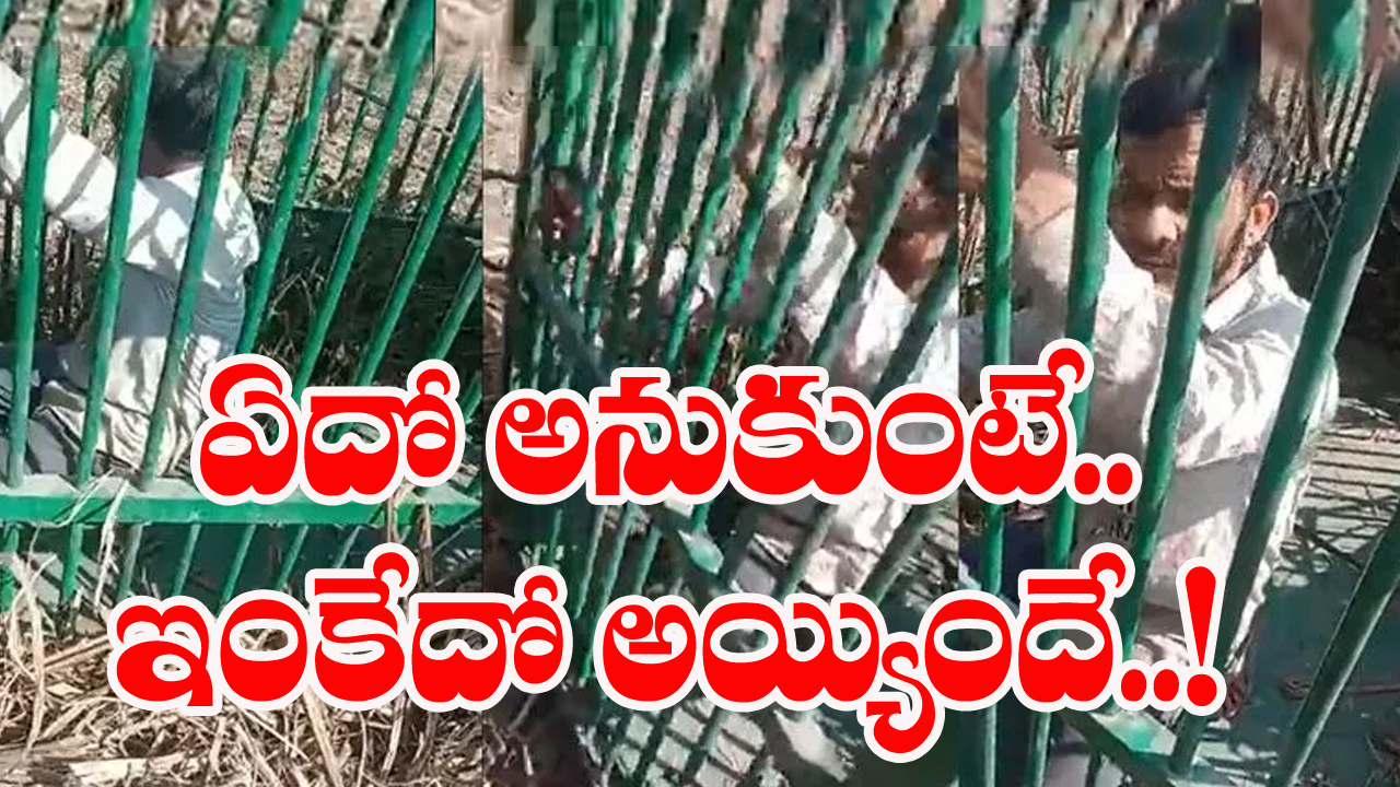 Viral Video: అయ్యో అయ్యయ్యో.. కోడి కోసం వెళ్లి.. పులి బోనులో చిక్కుకున్నాడు.. ఊరి జనం ఆడేసుకున్నారు.!