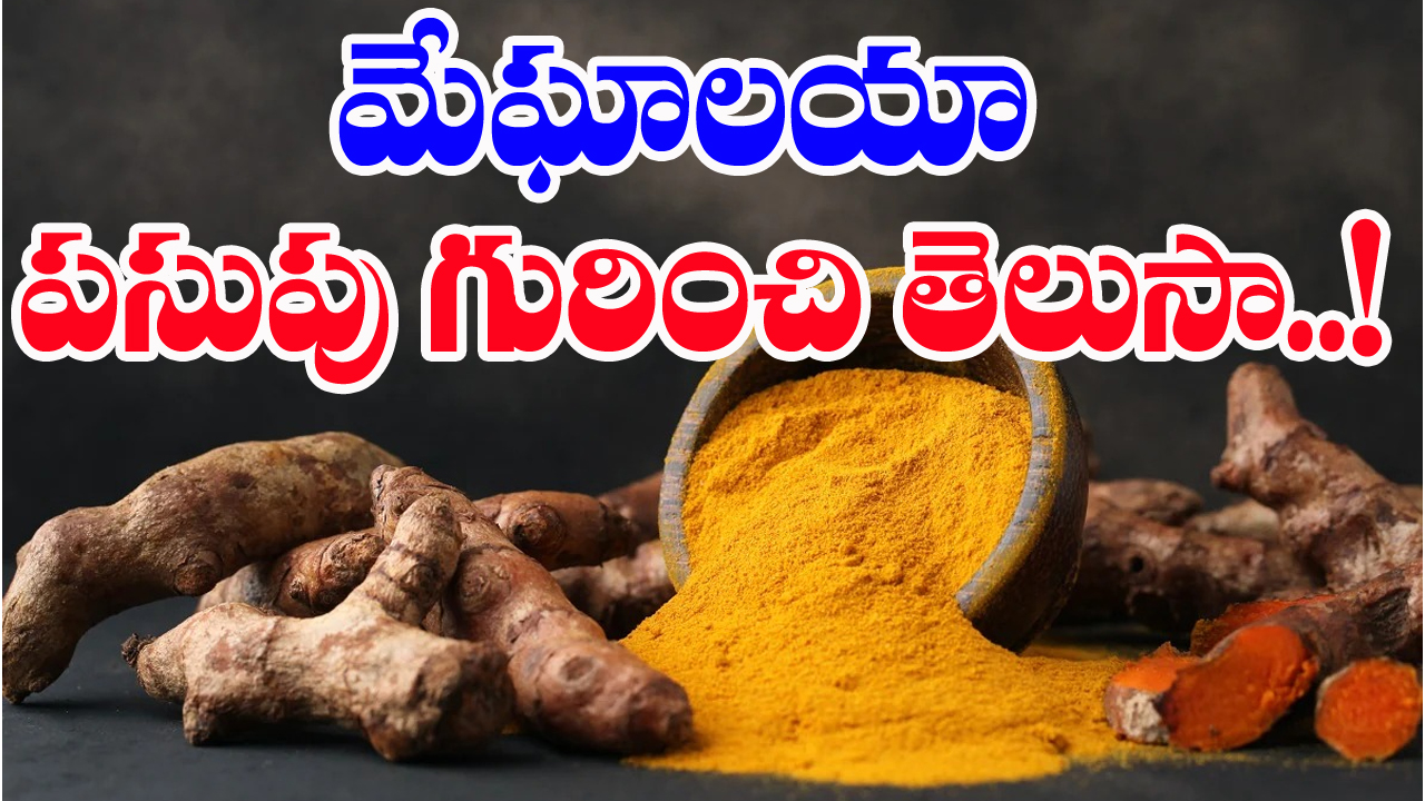 The Lakadong Turmeric : ఇక్కడి పసుపు ఎంత నాణ్యమైనదో తెలుసా..దీనితో బోలెడు ఆరోగ్యం..!