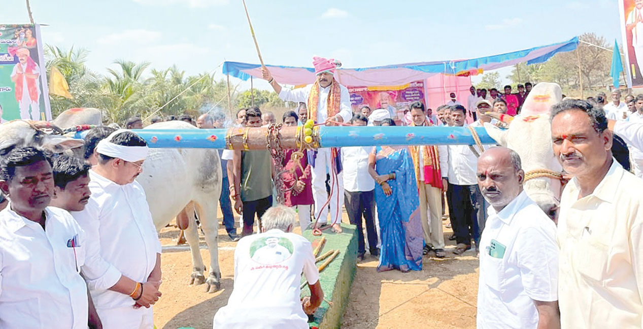 ఉత్సాహంగా పశుబల ప్రదర్శన పోటీలు