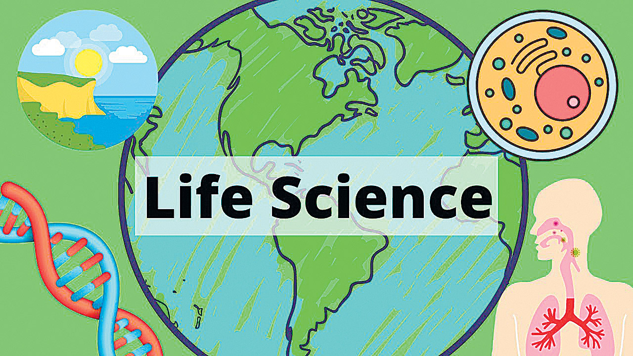  jobs: కొలువులున్నా..   కోర్సులేవీ?