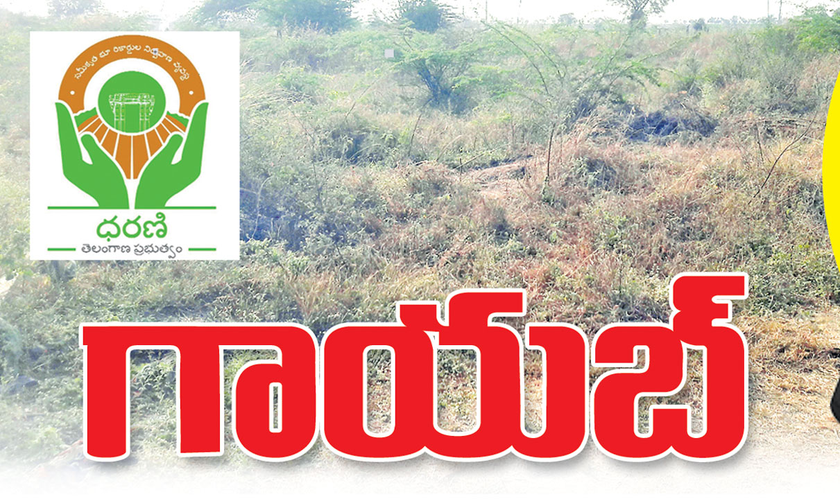 ధరణి పోర్టల్‌లో కనిపించని సర్వే నంబర్లు 