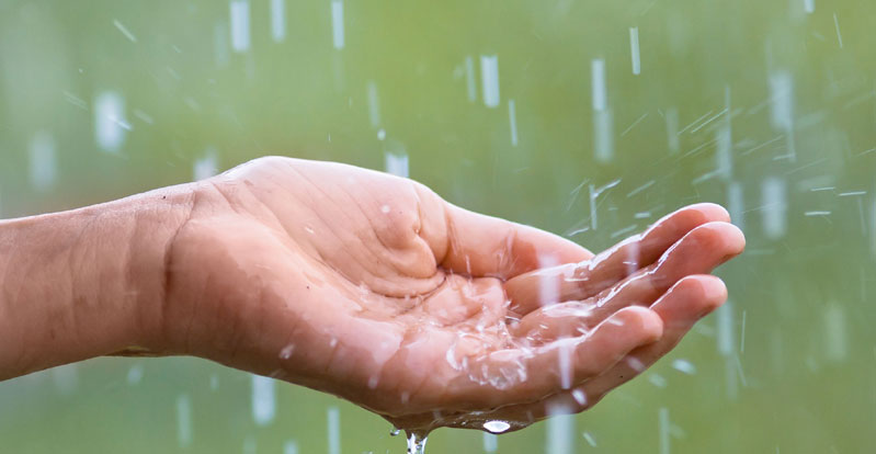 Rain: ఏపీలో వర్షం