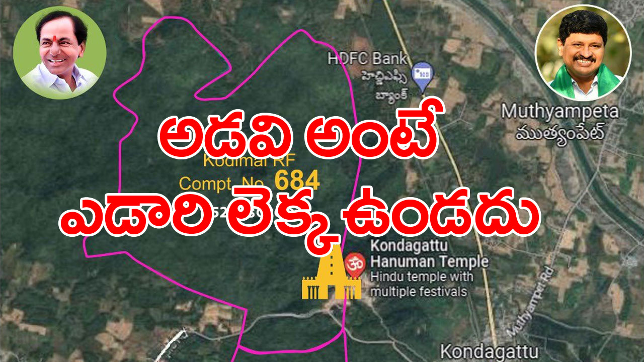 Kondagattu Forest: అడవిలో చెట్లు ఉంటాయిగా దత్తత తీసుకోవడం ఎందుకు?.. ఎంపీ సంతోష్‌పై సెటైర్లు