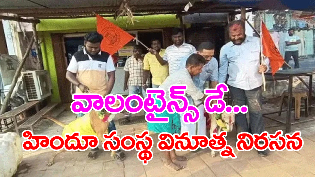 Valentines Day: ప్రేమికుల దినోత్సవం సందర్భంగా కుక్కలకు పెళ్లి...హిందూ సంస్థ వినూత్న నిరసన