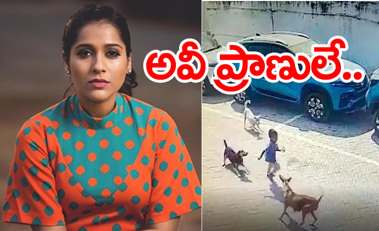 Anchor Rashmi Gautam: వీధి కుక్కల దాడిలో బాలుడు మృతిపై స్పందించిన రష్మి.. ఆడేసుకుంటున్న నెటిజన్లు