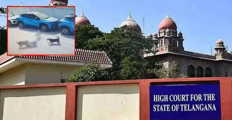 High Court:  కుక్కల దాడిలో బాలుడి మృతి ఘటనపై హైకోర్టు సీరియస్.. కీలక వ్యాఖ్యలు చేసిన న్యాయస్థానం