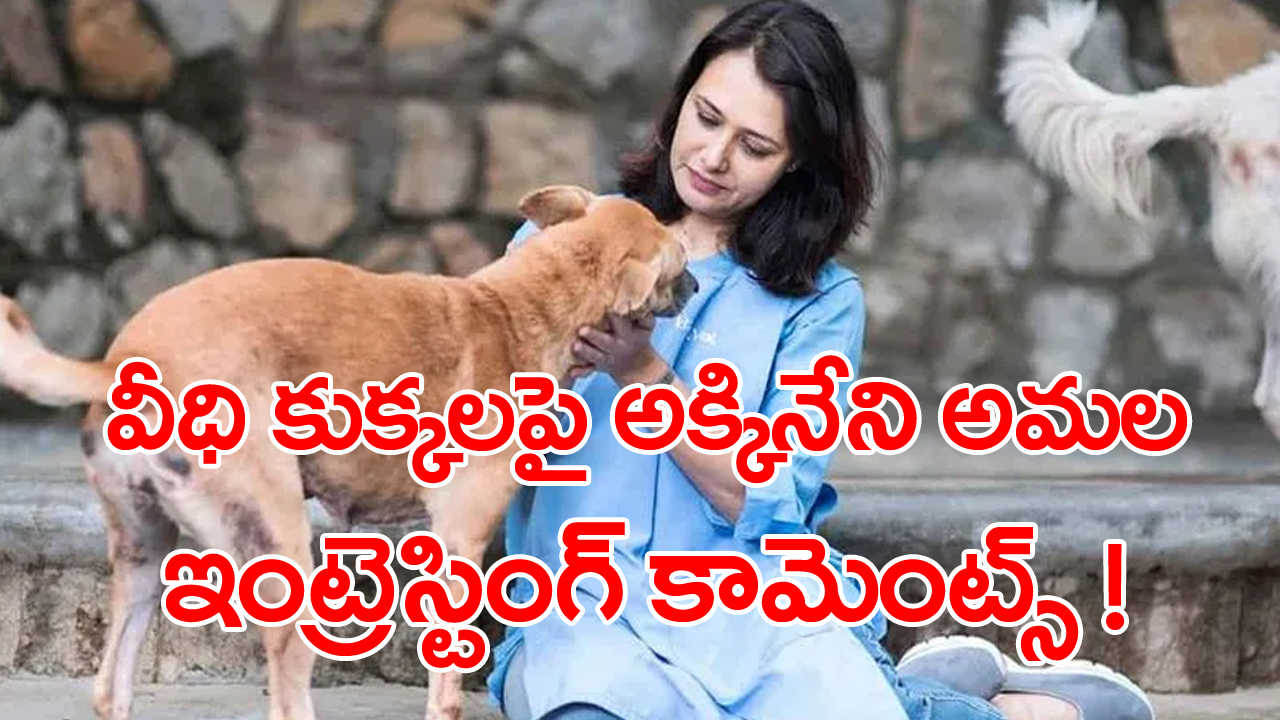 Amala Akkineni: వీధి కుక్కల విషయంలో ఎందుకిలా? .. అక్కినేని అమల ఆసక్తికర వ్యాఖ్యలు.. 