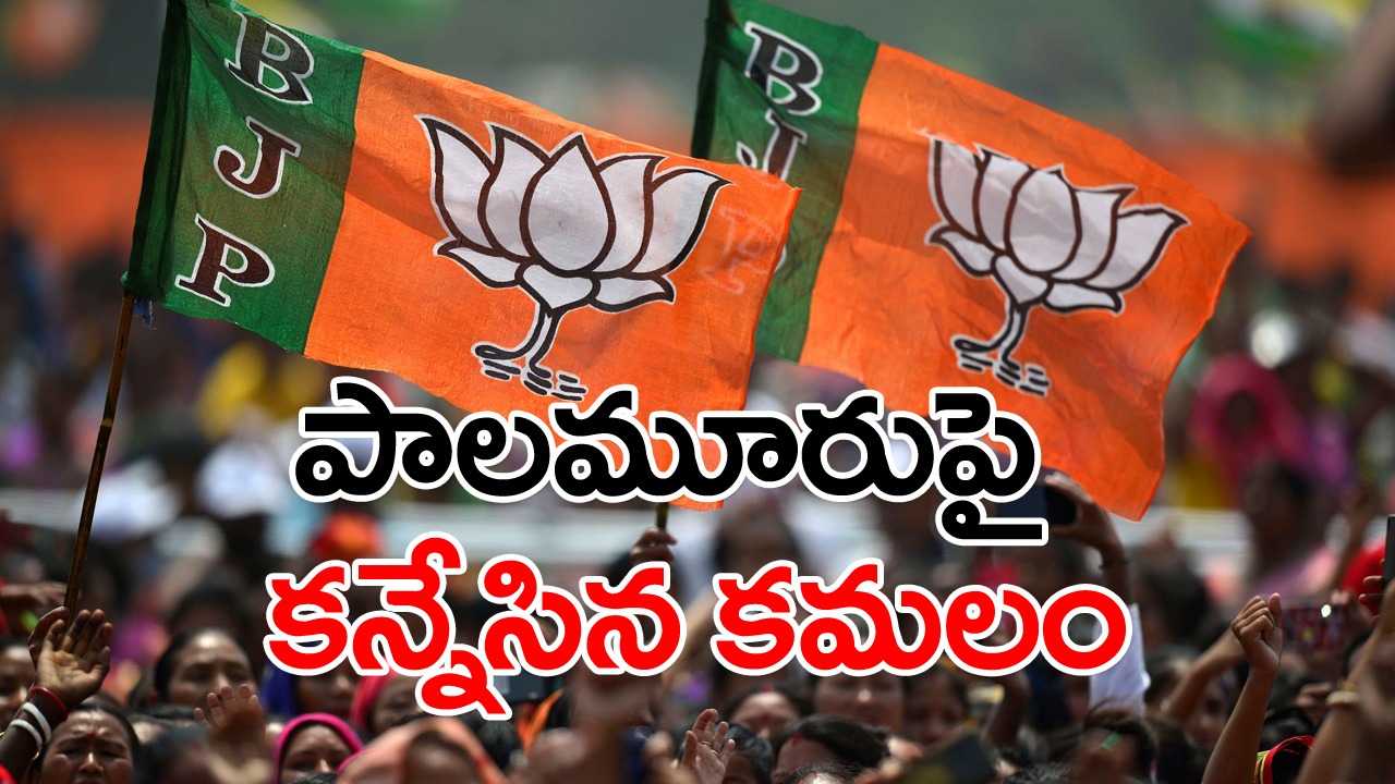 Palamuru: ప్రభంజనంలా బీజేపీ కార్నర్‌ మీటింగ్‌లు..మెజారిటీ స్థానాల్లో గట్టిగా పోరాడాలని ఫిక్స్..?